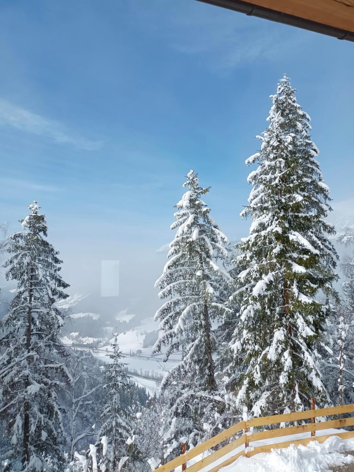Chalet Leni Schladming Ngoại thất bức ảnh